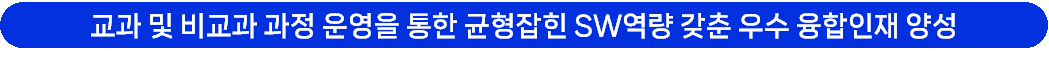 교과 및 비교과 과정 운영을 통한 균형잡힌  SW역량 갖춘 우수 융합인재 양성